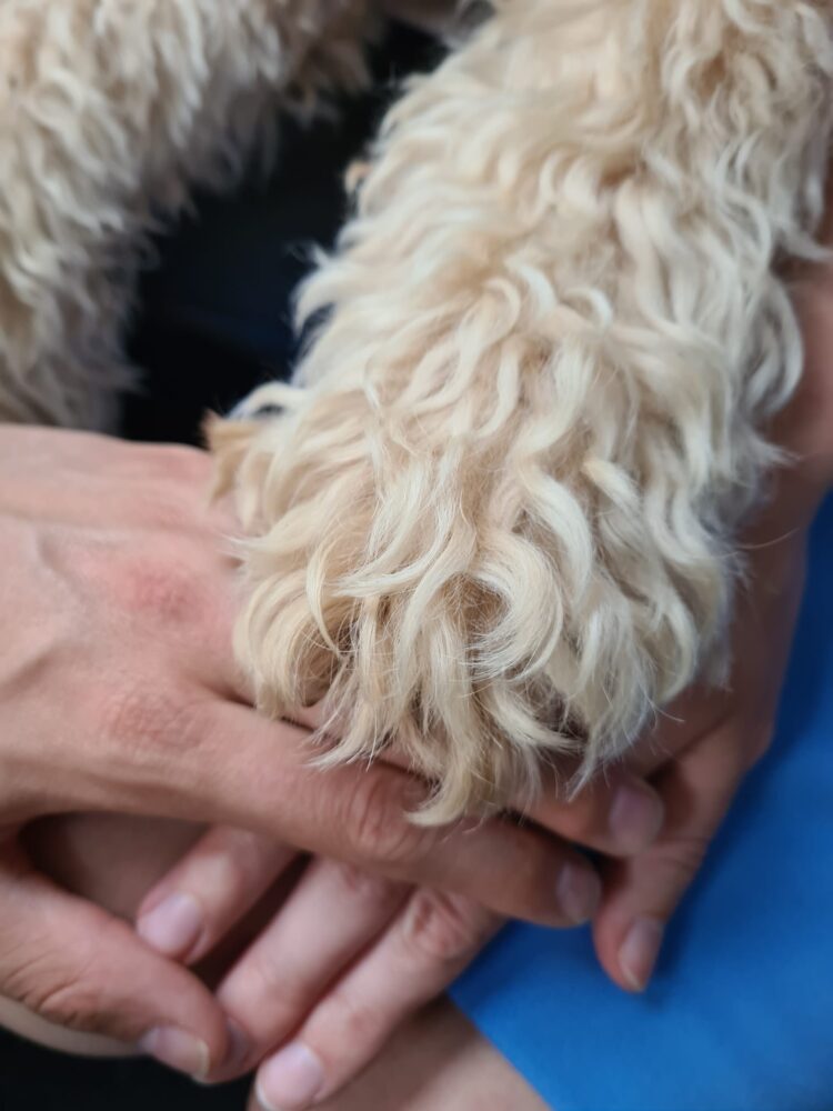 billy teamwork foto handen