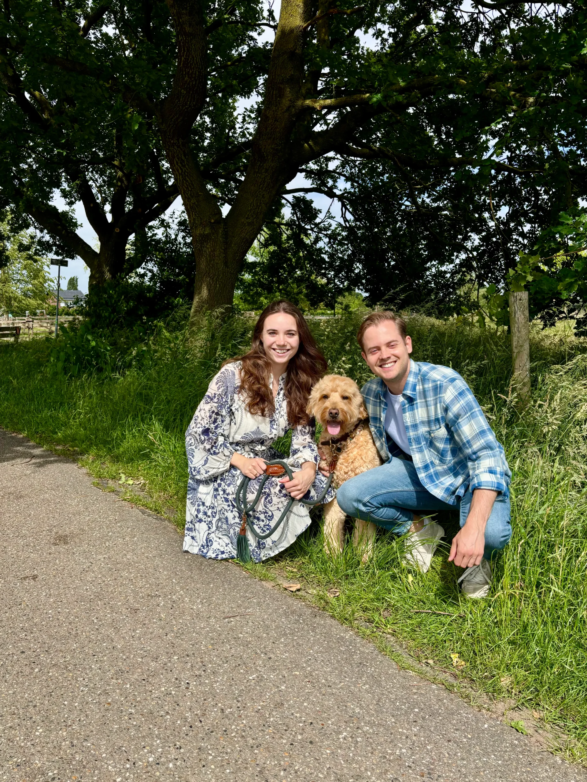 teamwork billy, tessa, mark 4